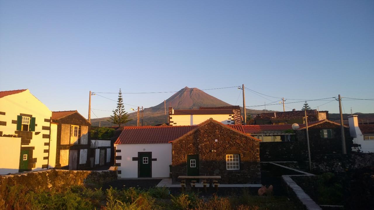Villa Casinha da Avó Jerónima RRAL 1519 Madalena  Exterior foto